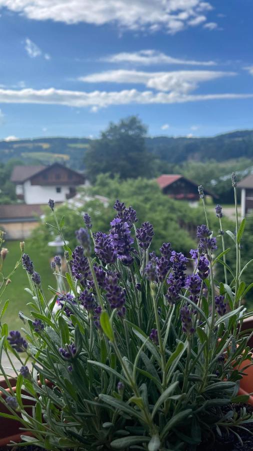 Ferienwohnung Alpseeliebe Immenstadt im Allgäu Εξωτερικό φωτογραφία